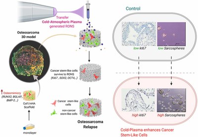 New paper on Free Radical Biology and Medicine