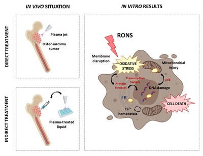 New review at the Journal of Clinical Medicine