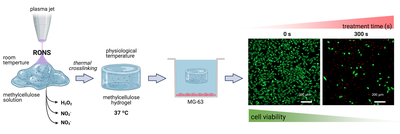 Plasma-treated thermosensitive hydrogels, good candidates to provide local anticancer therapies